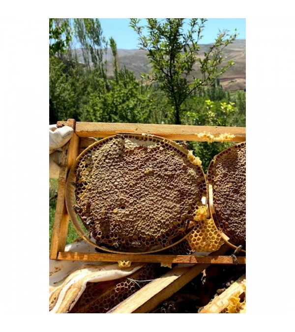 Karakovan Süzme Ham Bal Kg